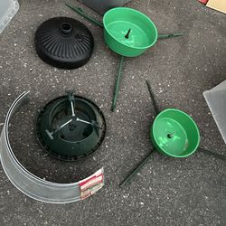 live christmas tree stands and surround 
