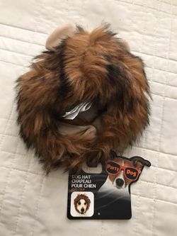 Dog’s Halloween lion costume