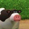 Dan
