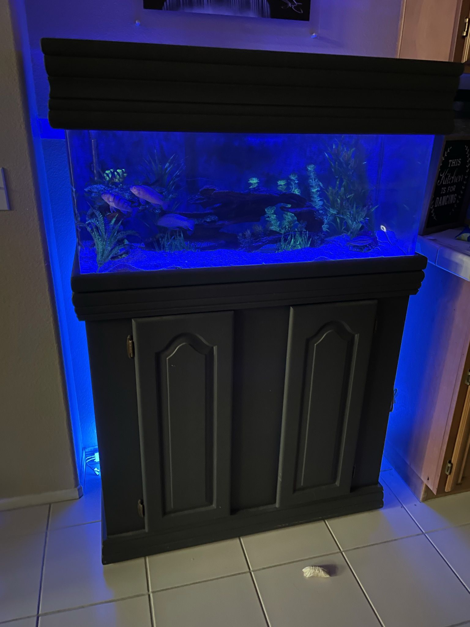 Fish Tank - Sea Clear Acrylic