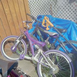 Kent Taboo Mountain Bike 