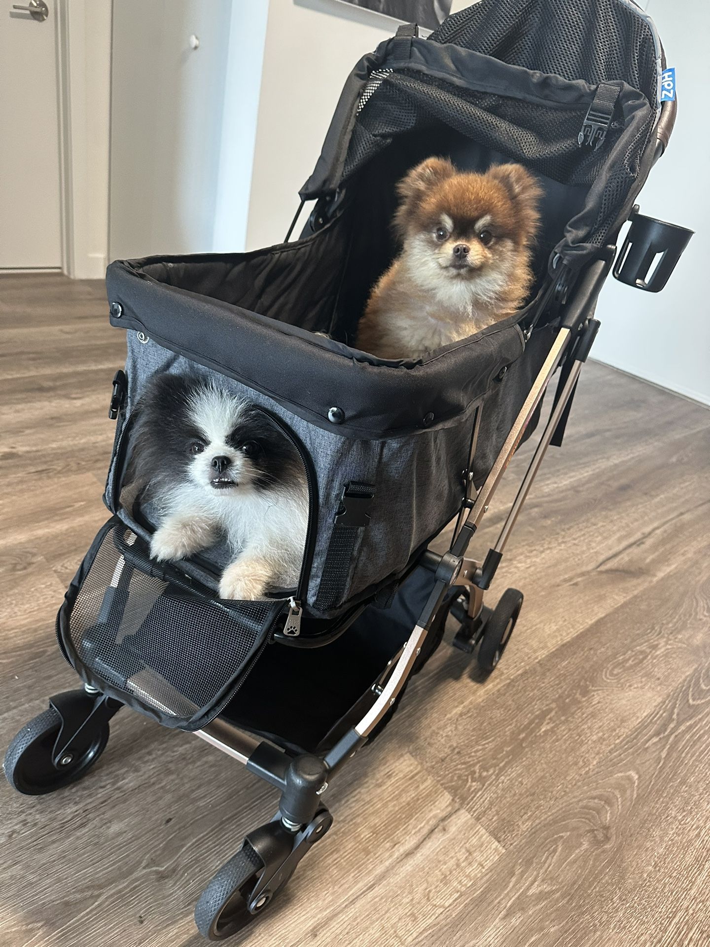 Stroller For Small/Medium Dogs, Cats And Pets 