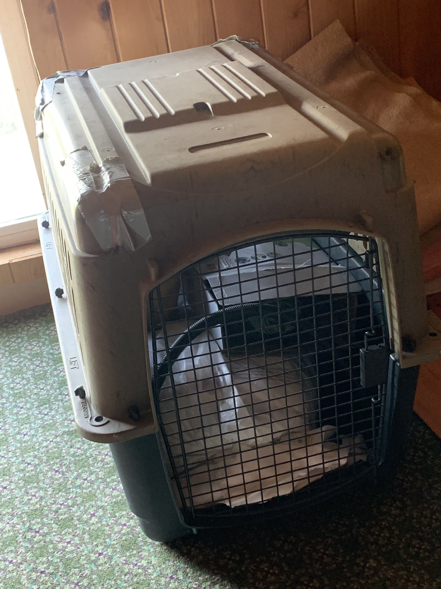 Kennel