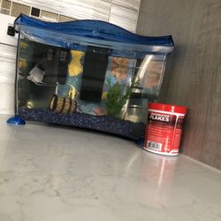 FISH TANK WITH FISHES AND FOOD