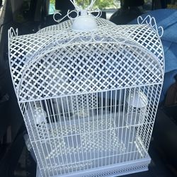 Bird Cage In Excellent Condition 