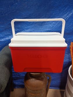 Small igloo cooler