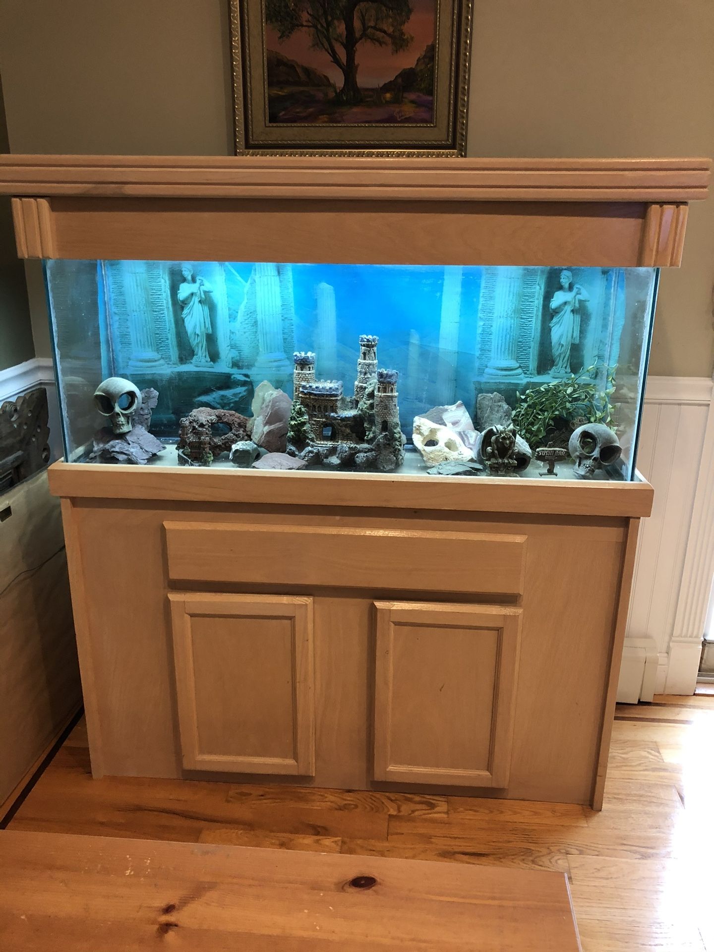 55 Gallon Fish Tank With Custom Wood Canopy And Stand Plus Accessories 