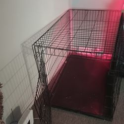 Ex Large Kennel