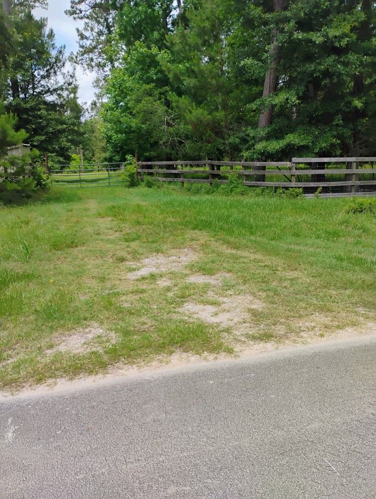 24 Acres For Léase To Cows. 24 Acres Para Renta Dayton TX