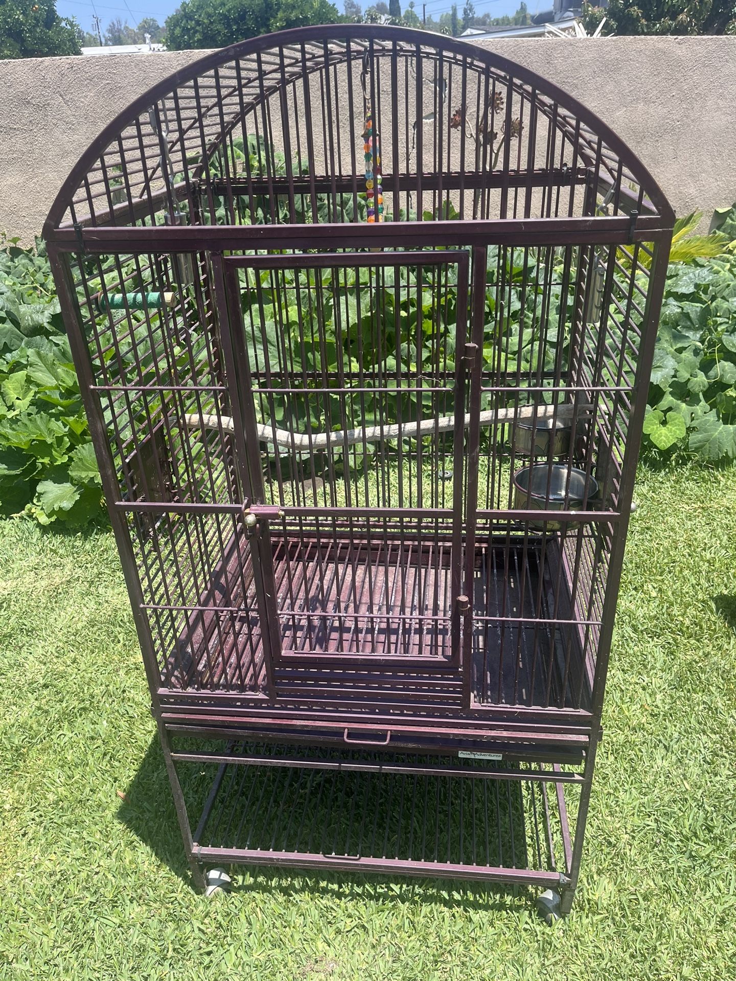 Bird Cage