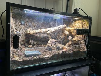40 gallon terrarium with misters and plant growth light and uv light included