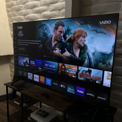 65 Inch Vizio Smart