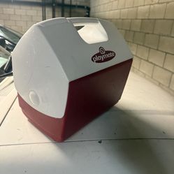Igloo Carry On Cooler 10x15”