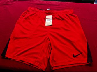 Mens Nike Shorts Size LG
