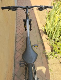 Giant mountain bike (M)