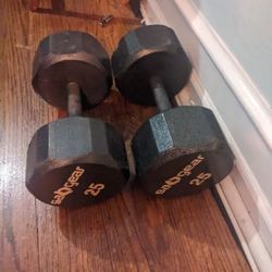 25 Lb Dumbbells (Pair)