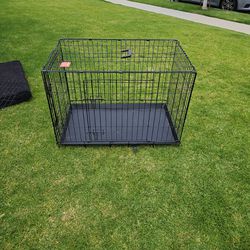 Dog Crate (Used)