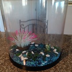 Aquarium , Fish Tank 