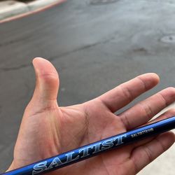 Daiwa Saltist Casting 