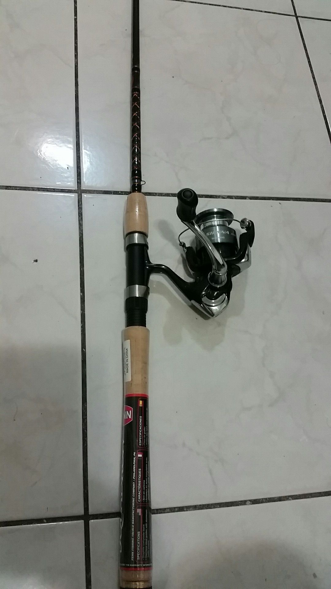 Fishing rod and reel