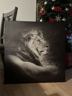 Black & White Lion Frame