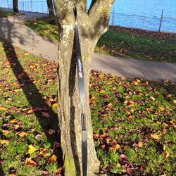 PSE ARCHERY LONGBOW  Carbon Fiber 