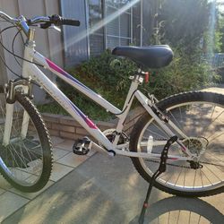 Nishiki Ladies Mtn Bike 26