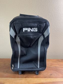 Ping luggage