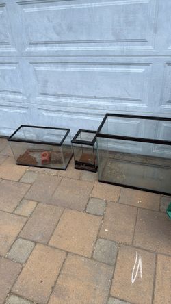 Fish Tank, reptile tank