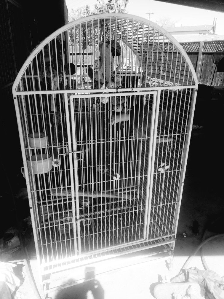 6 Ft Wide Heavy Wrought Iron Bird Cage 