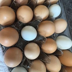 Eggs For Sale 