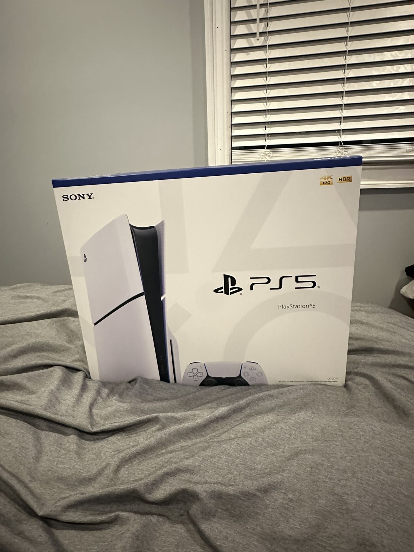 Ps5 Disk Edition