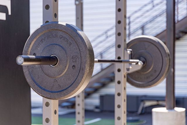 15kg/33lb And 20kg/45lb Barbells