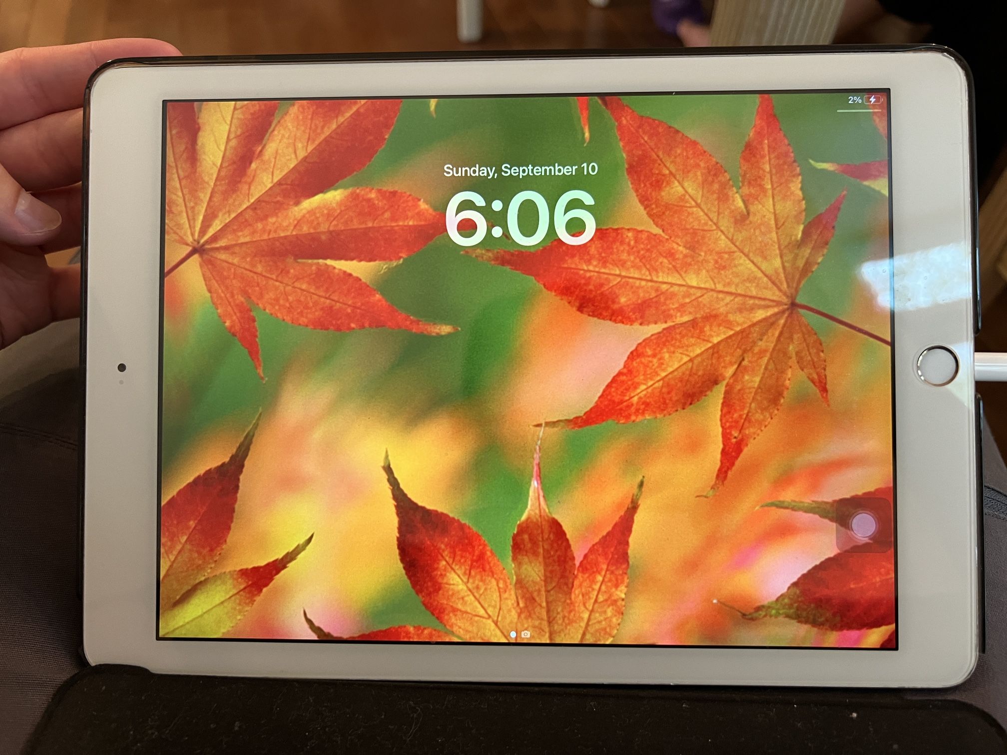 Apple iPad 5th Gen