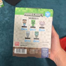 Minecraft Light Steve