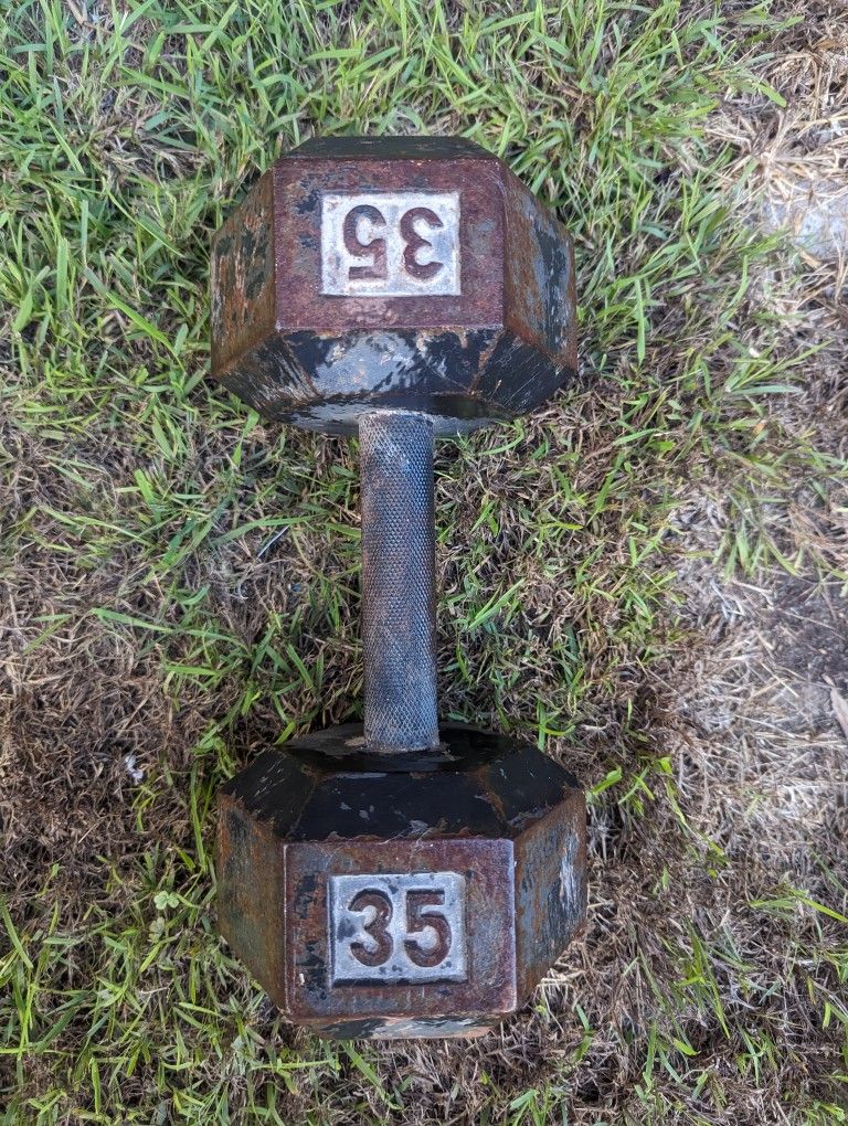 Single Dumbbell 35lb