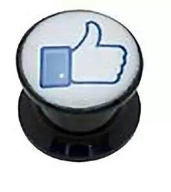 Facebook Like Plugs Stashbox Acrylic Screwons 2 Piece