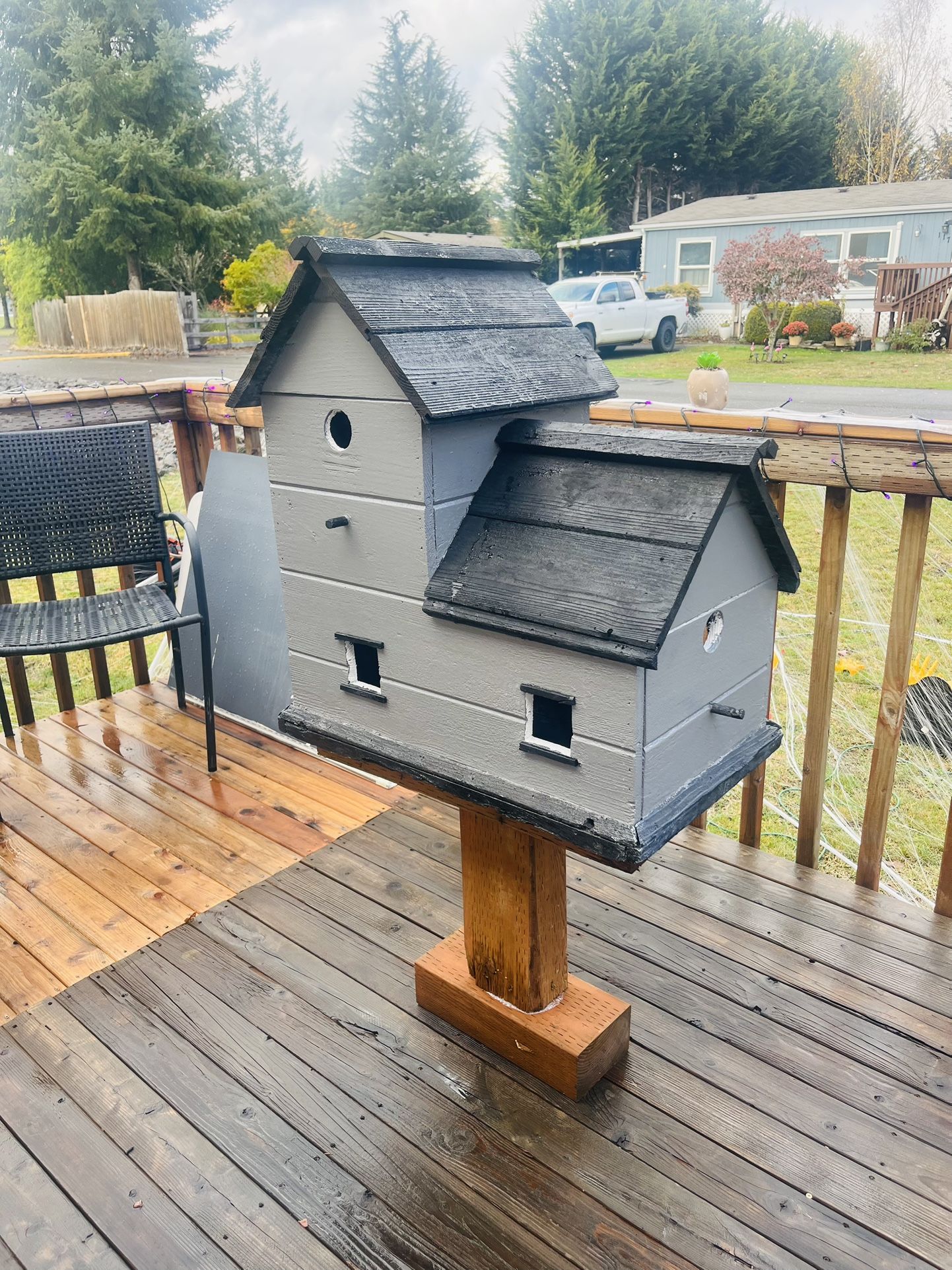 Large Bird House