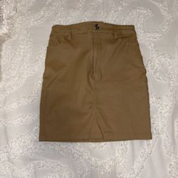 Mini Stretchy Fitted Skirt