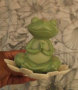 Frog B& BW Wall Plug