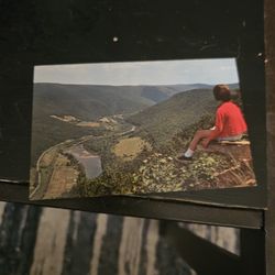 Pine Creek Vintage Postcard 