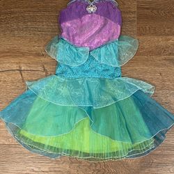 Little Mermaid Costume