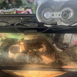 Reptile tank
