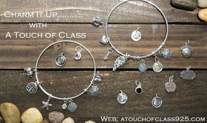 925 Silver Charms and Bracelets