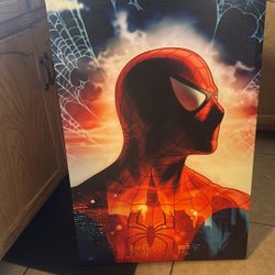 Spider Man Poster