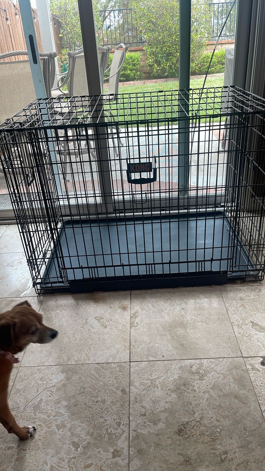 Kong Crate For Large Dogs