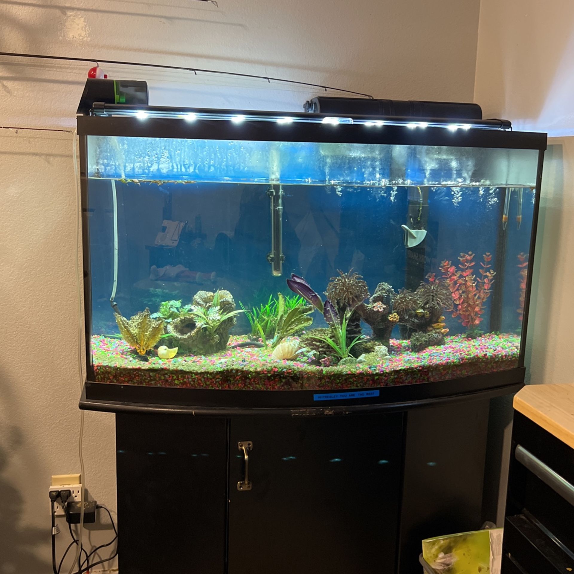 46 Gallon Fish Tank With Stand, Lights, Filter And Heater