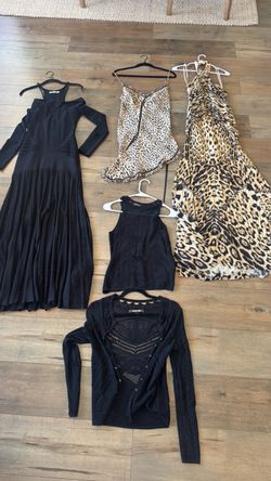 Cavalli Lot For Sale