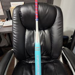 Short Porch Softball Bat