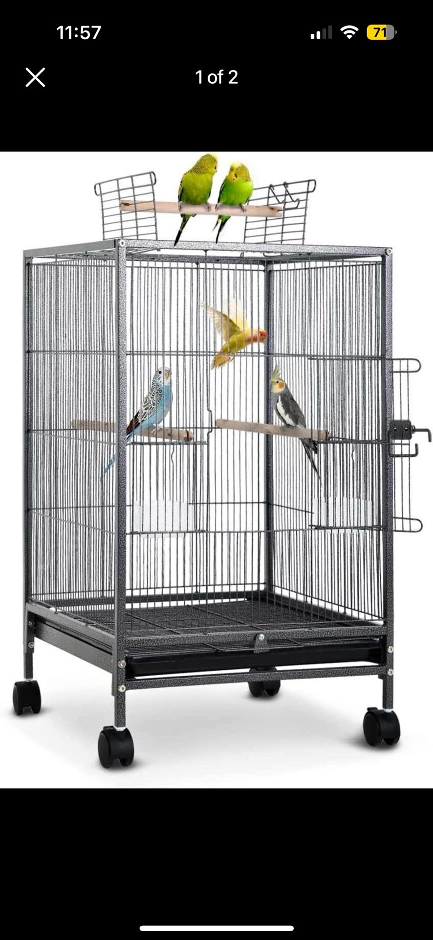 Bird Cage